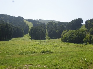 スキー場.jpg