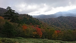 剣山1.jpg
