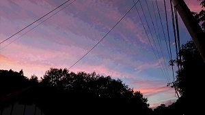 夕焼け50.jpg