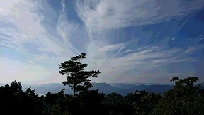 宮島弥山から.jpg