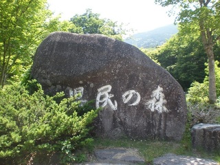 県民の森.jpg