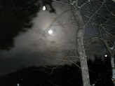 雪の中の月.jpg